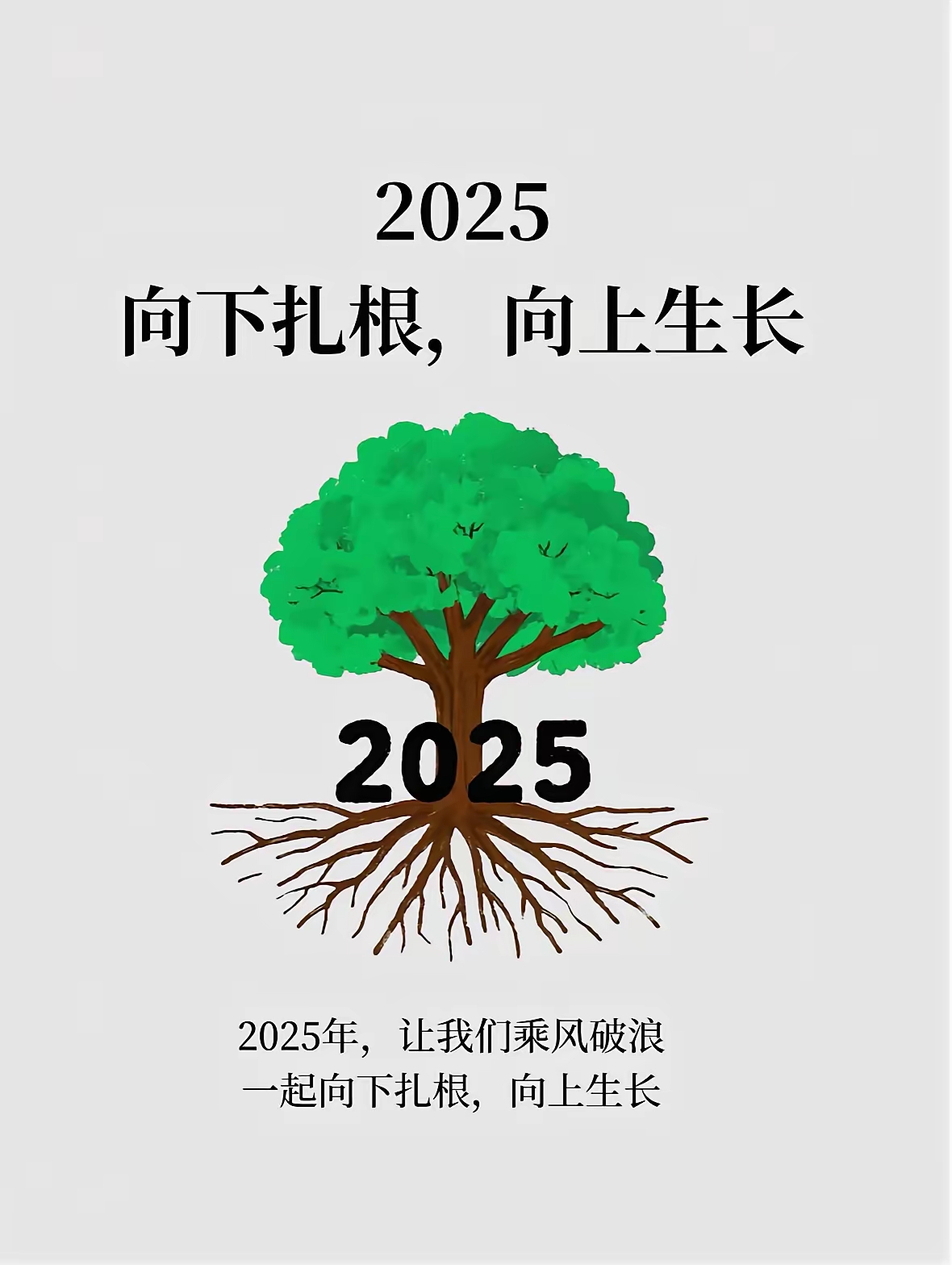 欢迎来到光合环境，2025 我们又见面了
